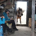 Dzongri & Goechala Trek -Sikkim 2 Windhorse Tours Dzongri & Goechala Trek -Sikkim