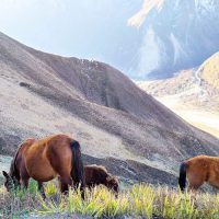 Langtang Valley Trek