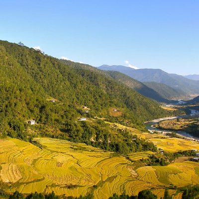 punakha Windhorse Tours