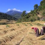 Ancient Bhutan Trail Hikes photo 7