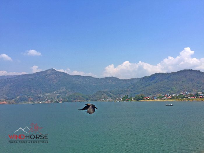 Phewa Lake