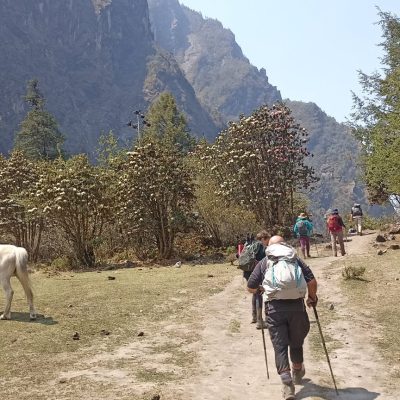 Langtang Valley Trek