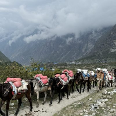 Langtang Valley Trek