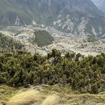 Nar Phu Valley Trek