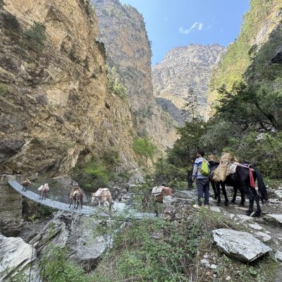 Nar Phu Valley Trek
