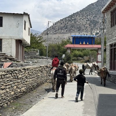 at Marpha Lower Mustang Windhorse Tours