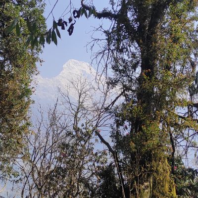 Annapurna view Windhorse Tours
