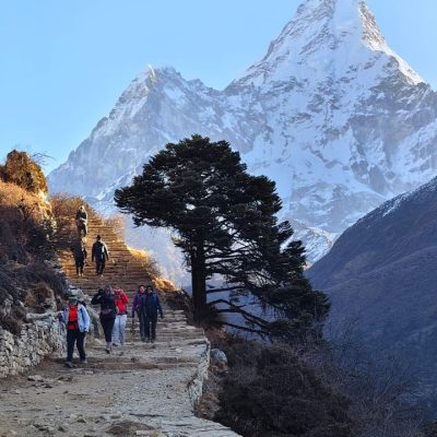 Amadablam Windhorse Tours
