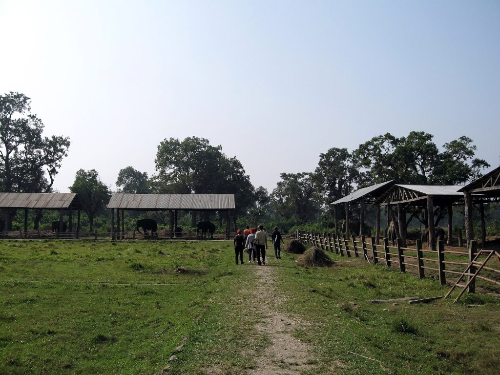 Elephant Breeding Centre