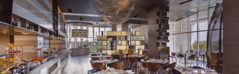 Holiday Inn New Delhi International Airport
