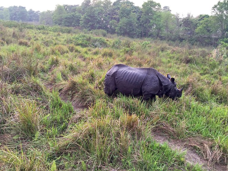 Chitwan National Park