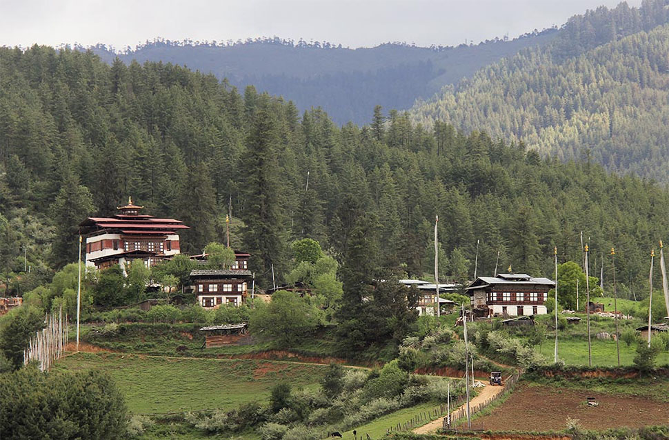 Buli Farm House