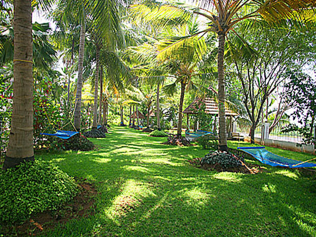 Ideal River View Resort