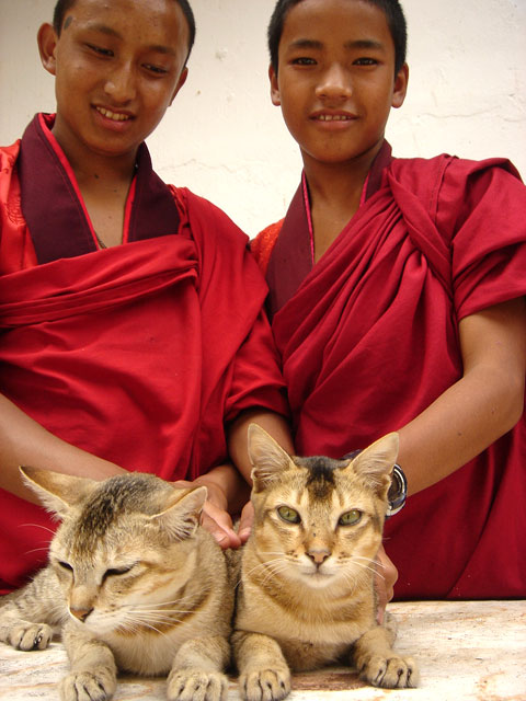 Trashigang Goemba