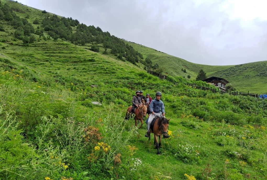 Riders below a farmhouse on a flowering hillside
