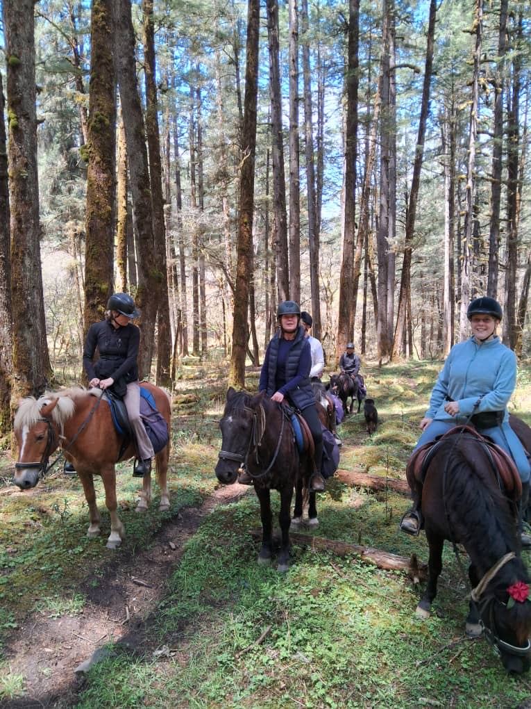 Three riders smiling on a forest trail
