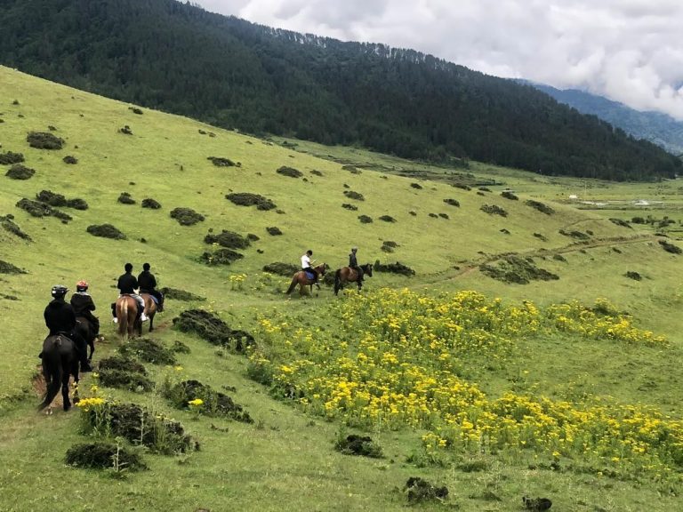 Riders above yellow wildflowers in Phobjikha