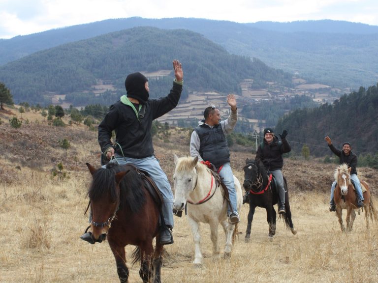 Four riders waving on a grassy hillside
